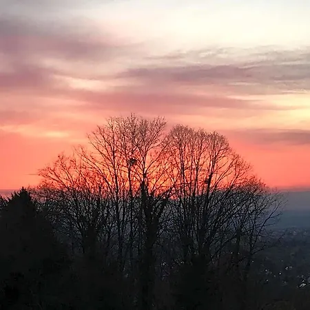 Hotel Schlossberg - Boutique Im Park- Nahe Der Therme Badenweiler