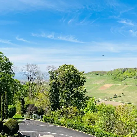 Schlossberg - Boutique Im Park- Nahe Der Therme 酒店 巴登韦勒